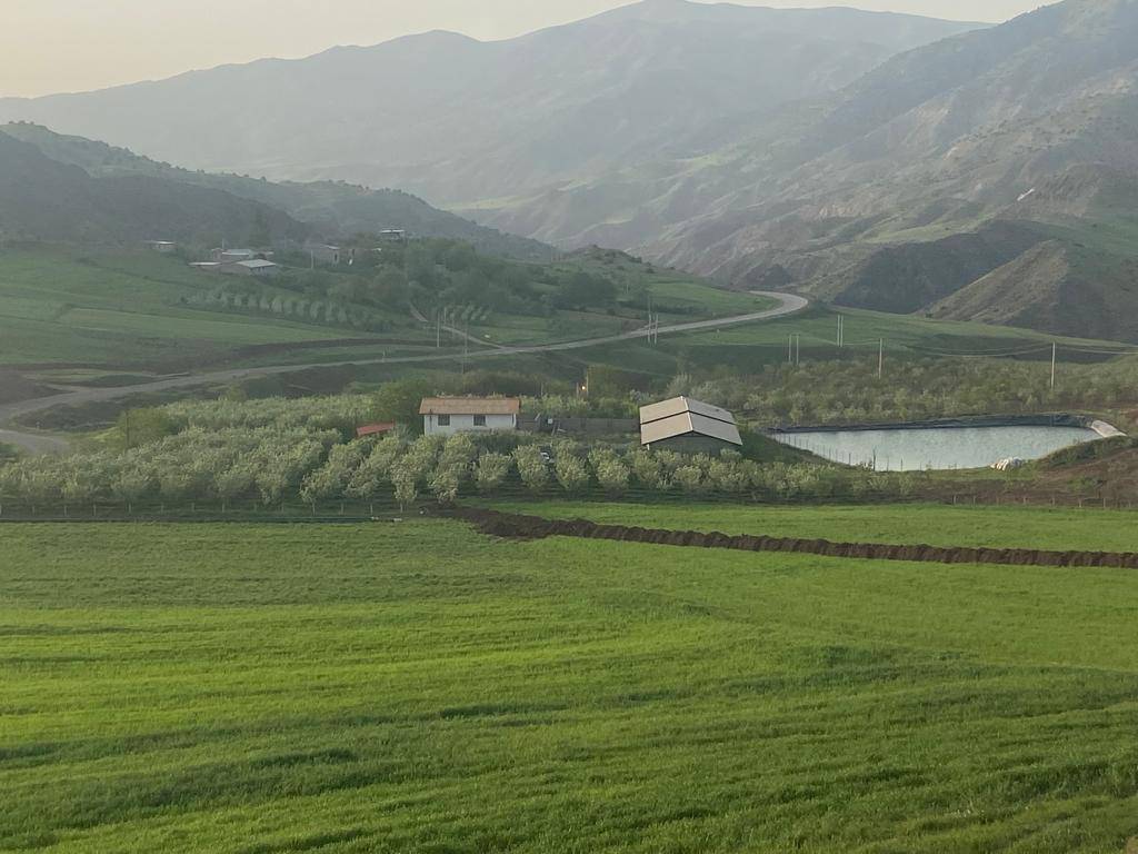 فروش باغ گردوی ۶ هکتاری با ۴۲۲۰ اصله درخت، سند تک‌برگ و پروانه ساخت